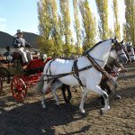 Carruatge de cavalls