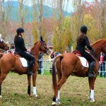 Concurs de carrussels