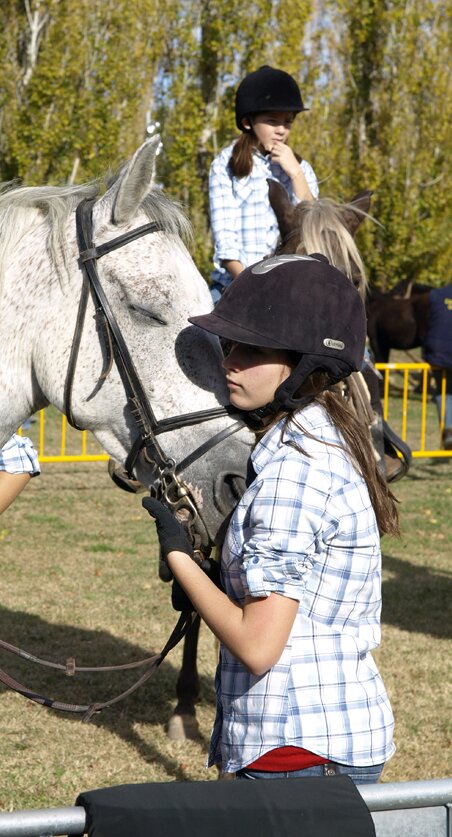 Hípiques, cavalls i persones