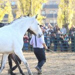IMG_0002