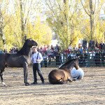IMG_0014