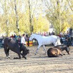 IMG_0017