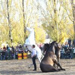 IMG_0026