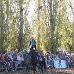 IMG_0031
