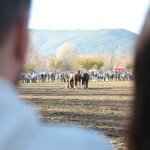 IMG_0042 copia