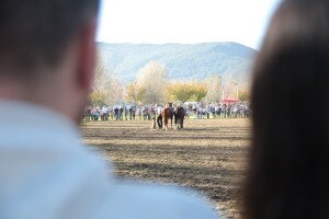 IMG_0042 copia