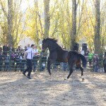 IMG_0045