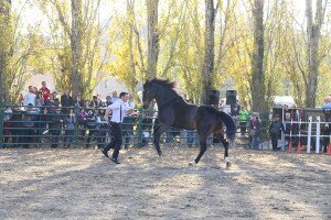 IMG_0045