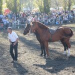 IMG_0051 copia