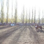 IMG_0057 copia