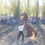 IMG_0069 copia