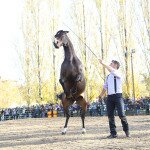 IMG_0097