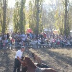 IMG_0126