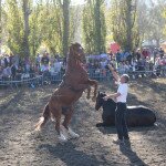 IMG_0137 copia