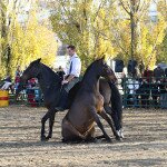 IMG_0150