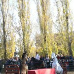 IMG_0191