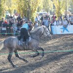 IMG_0245 copia