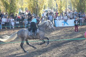 IMG_0245 copia