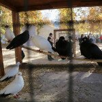 IMG_0402 copia
