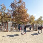 IMG_0413 copia