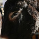 img_0813