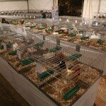 img_1256