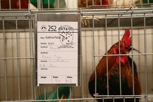 img_1578