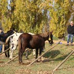 img_1692