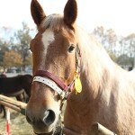 img_1702