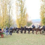 img_1728