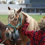 img_1770