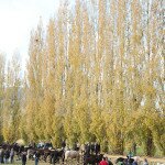 img_1836