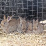 img_2051