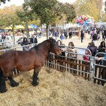 img_2142