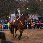 img_2422