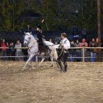 img_2464