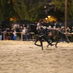 img_2524
