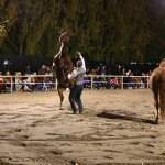 img_2651