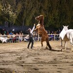 img_2670