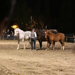 img_2690