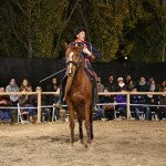 img_2781