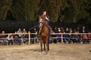 img_2781