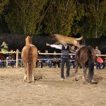 img_2960