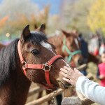 img_3946