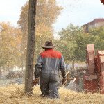 img_4019