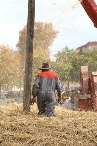 img_4019