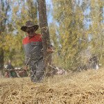 img_4038