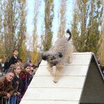 img_4109