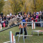 img_4118