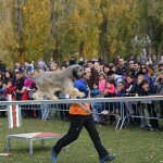 img_4119